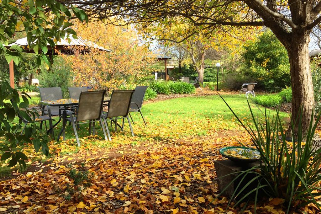 River Country Inn (Adults Only) Moama Kültér fotó